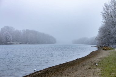 Vah Nehri, kışın karla kaplı ağaçlarla