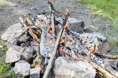 Ormanda küçük bir yangın var.