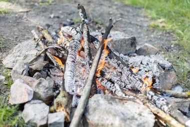 Ormanda küçük bir yangın var.