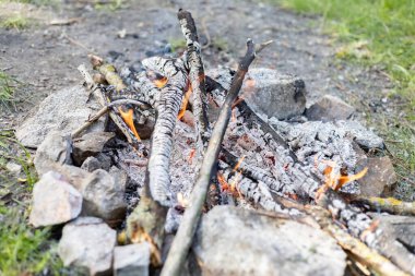 Ormanda küçük bir yangın var.