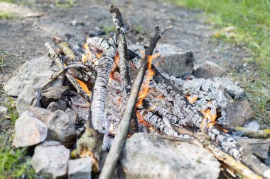 Ormanda küçük bir yangın var.