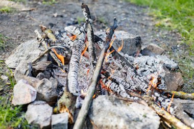 Ormanda küçük bir yangın var.