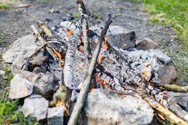 Ormanda küçük bir yangın var.