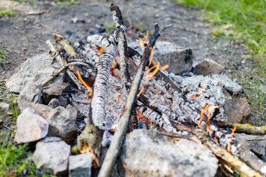 Ormanda küçük bir yangın var.