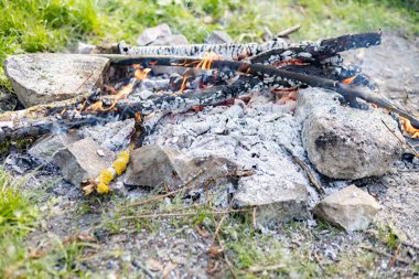 Ormanda küçük bir yangın var.