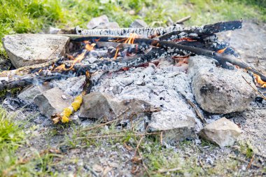 Ormanda küçük bir yangın var.