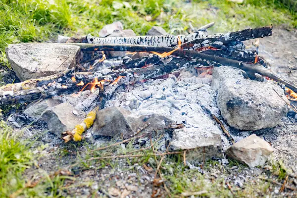 Ormanda küçük bir yangın var.