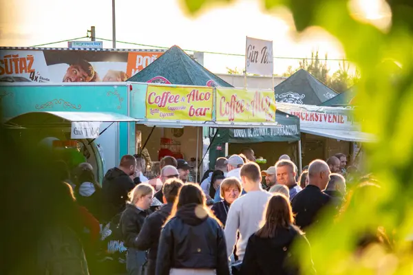 Slovakya 'da konser ve adil