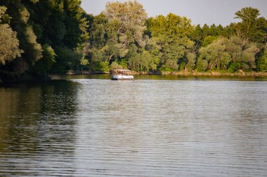 Bir katamaran nehir boyunca ağaçların arkasına doğru yelken açar.