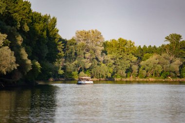 Bir katamaran nehir boyunca ağaçların arkasına doğru yelken açar.