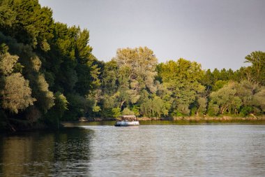 Bir katamaran nehir boyunca ağaçların arkasına doğru yelken açar.