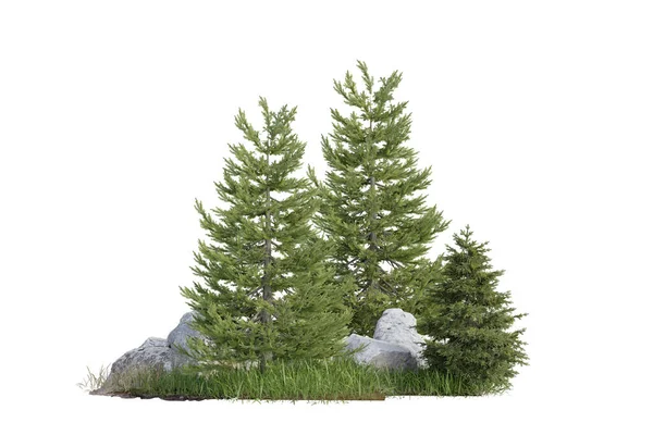 Odizolowane Unikalne Drzewo Mały Las Małą Skałą Małe Pole Trawy — Zdjęcie stockowe
