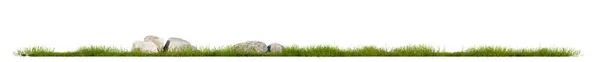 Grass Line Rock Isolated White Background Clipping Path Selection Tree — Stock Photo, Image
