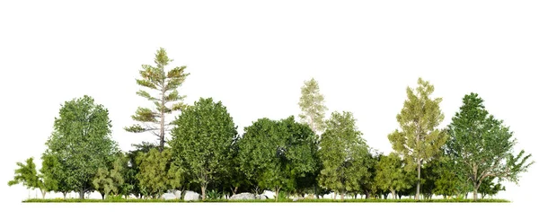 Linia Leśna Odizolowana Białym Tle Ścieżką Wycinania Ilustracja Renderowania — Zdjęcie stockowe