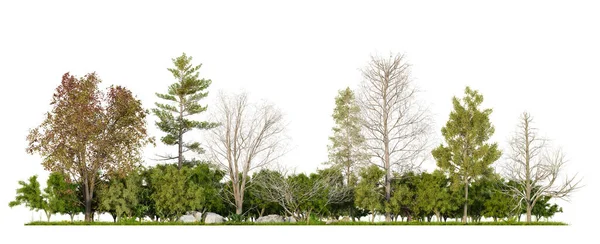 Jesienna Linia Leśna Odizolowana Białym Tle Ścieżką Wycinania Ilustracja — Zdjęcie stockowe