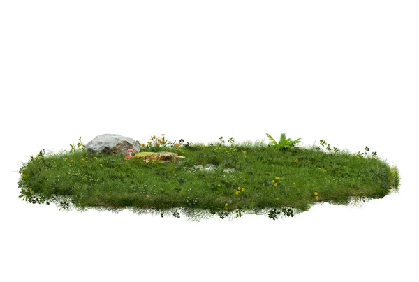 Травяное Поле Плавающей Окружностью Иллюстрация — стоковое фото