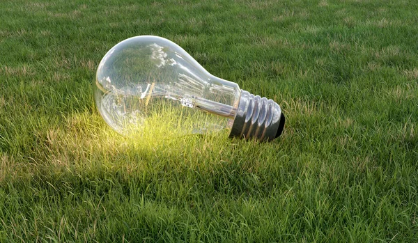 switch on light bulb on meadow, environmental friendly concept, 3d illustration rendering