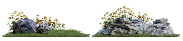 Камень Травяным Лугом Цветком Белом Фоне Вырезанием Дорожки Лицензионные Стоковые Фото