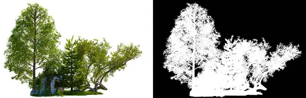 Дерево Линии Леса Изолированы Белом Фоне Обрезка Пути Rgb Альфа Лицензионные Стоковые Изображения