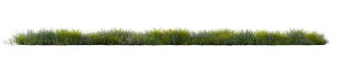 kırpma yolu ile beyaz arkaplan üzerinde çim satır grubu, 3d illüstrasyon oluşturma 