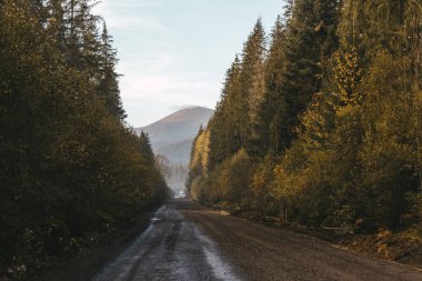 Dağ manzaralı pitoresk bir manzara. Dağlara giden ıslak bir yol. Haze kırsal kesimi kaplıyor. Sakin ve huzurlu yerlere git. Pankart arkaplan, duvar kağıdı olarak kullanılabilir