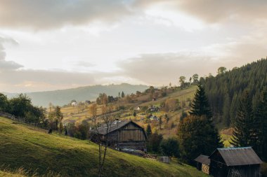 Dağ ormanlarına bakan resmedilmiş bir manzaranın resmi. Sis kırsal kesimi kaplıyor. Bulutlar güneşi kapladı. Sessiz yerlere git. Pankart arkaplan, duvar kağıdı olarak kullanılabilir