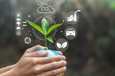 Dünya üzerinde büyüyen ağaçlar, çevre, sosyal ve sürdürülebilir işletme yönetiminde çevre kirliliği ESG ikonu kavramını azaltmak için yenilenebilir kaynak teknolojisine sahip insanların elindedir..