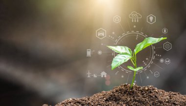 Dünya Çevre Günü, verimli topraklarda büyüyen genç bitki, çevre teknolojisi kavramı. Sürdürülebilir kalkınma hedefleri. SDG 'ler. 