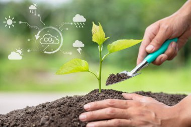 Teknoloji ortamı, Çevre, sosyal ve sürdürülebilir iş yönetimi için eldeki çevre ikonu kavramını azaltmak için yenilenebilir kaynak teknolojisi ile el dikimi. 