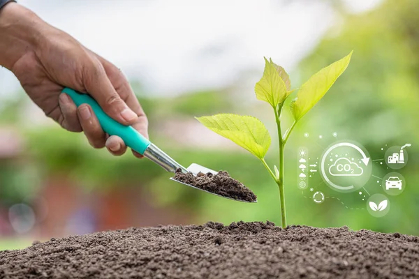 Hand planting trees with technology of renewable resources to reduce pollution. ESG icon concept, environmental, social and sustainable business governance.