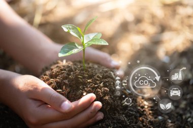Hand holding seedlings with environment icons over the Network connection on nature background, Technology ecology concept.