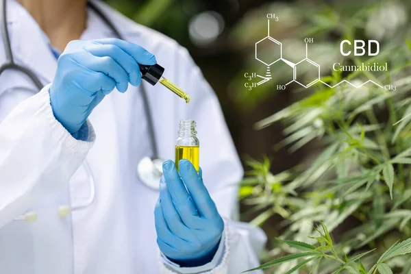 CBD proti poruchám spánku