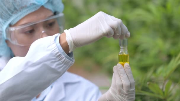 Pesquisadores Estão Testando Gotas Óleo Cannabis Para Testar Qualidade Extrato — Vídeo de Stock