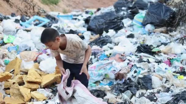 男の子は臭いゴミの山の中で売るためにゴミを集める 児童労働 世界環境デー — ストック動画
