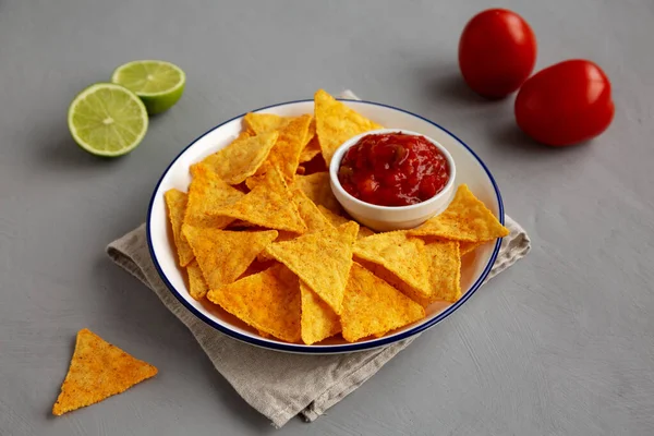 stock image Homemade Salsa Dip and BBQ Chips Ready to Eat