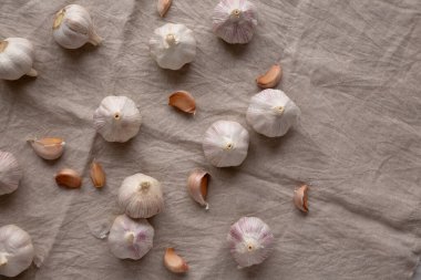 Çiğ organik sarımsaklı soğan, üst manzara. Tepeden tırnağa, yukarıdan. Boşluğu kopyala.