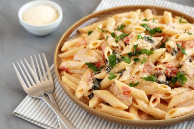 Tabakta ev yapımı kremalı tavuklu makarna, yan manzara..