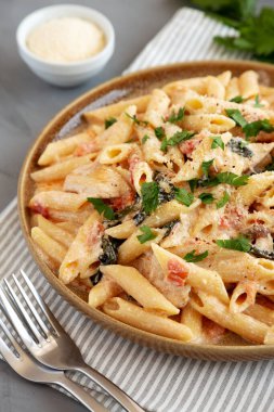 Tabakta ev yapımı kremalı tavuklu makarna, yan manzara..