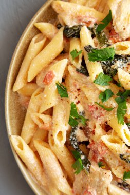 Tabakta ev yapımı kremalı tavuklu makarna, üst manzara. Dümdüz, tepeden, yukarıdan. Yakın plan..