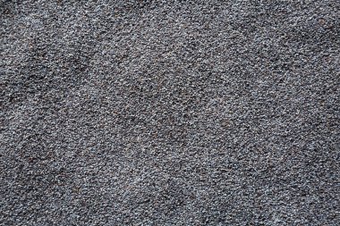 Çiğ Organik Kuru Poppyseed, üst görünüm. 