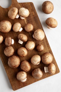 Tahtada çiğ Kraliyet Kahverengi Şampiyonu, üst manzara..