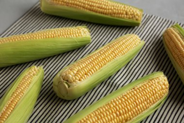 Taze Çiğ Organik Mısır Kabukta, yan görünüm.