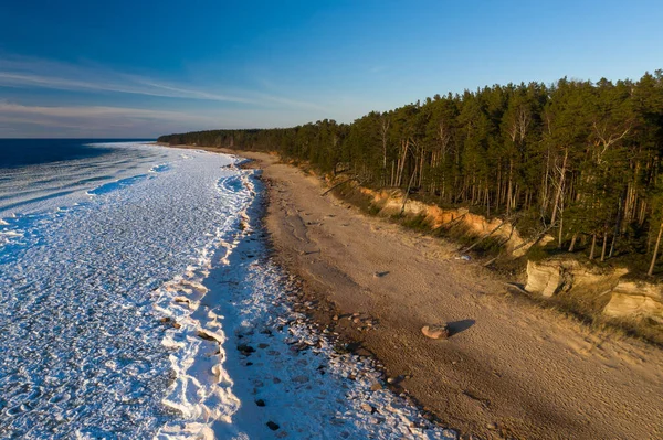 Живописный Пейзаж Берега Балтийского Моря Зимой Снег Песке Сосновый Лес — стоковое фото