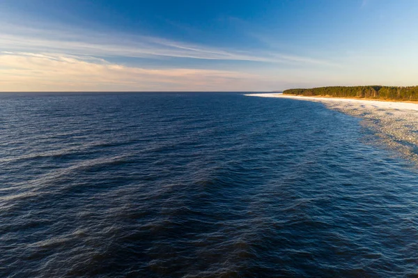 Paisagem Cênica Costa Mar Báltico Inverno Neve Areia Floresta Pinheiro — Fotografia de Stock
