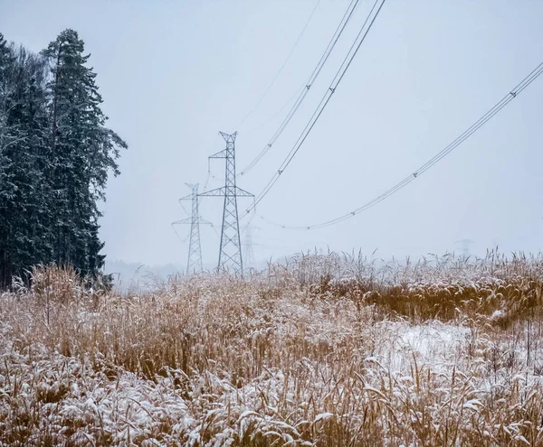 Kışın Orman Yakınlarında Yüksek Voltajlı Elektrik Hattı Kuleleri — Stok fotoğraf