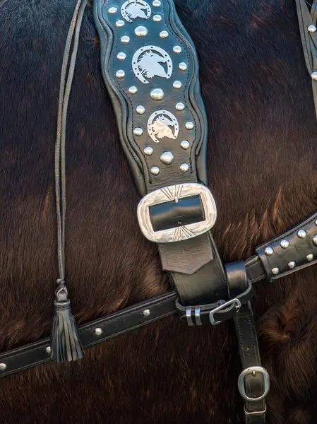 Close-up of detail of decorative leather harness on brown horse. Equipment. Yellow and red brushes.