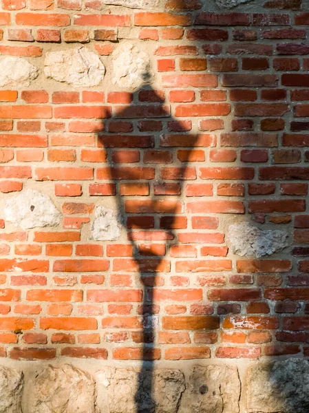 Shadow Lantern Tree Brick Wall Sunny Day — Stock Photo, Image
