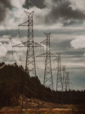 Ormanın yakınındaki yüksek voltajlı elektrik santralleri. Bulutlu gökyüzü.