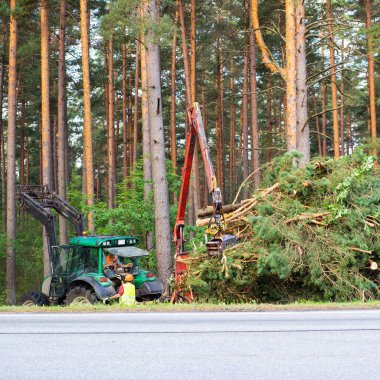 Yol kenarındaki traktör testereli ağaçları kaldırıyor. Ağır ekipman