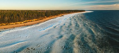 Kışın Baltık Denizi 'nin manzaralı manzarası. Kumda kar. Çam ormanı. Hava görünümü.